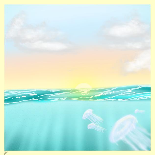 555 Jellyfish