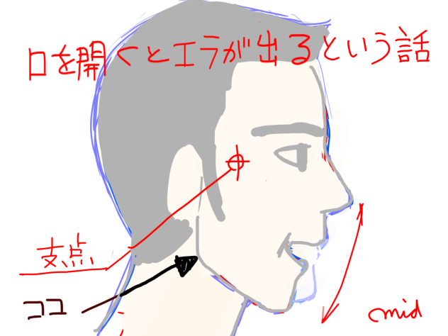 骨格から描く「口を開くとエラが出るという話 」
