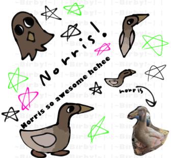 NORRIS!!! (FA for isi)