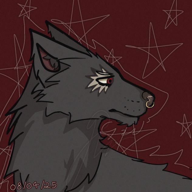 Aspen, the wolf