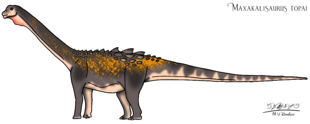 Maxakalisaurus topai readjust
