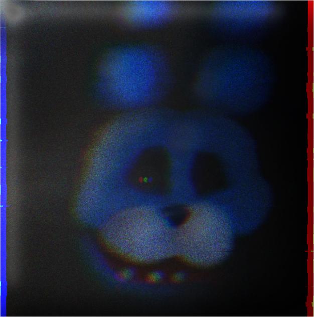 bonnie
