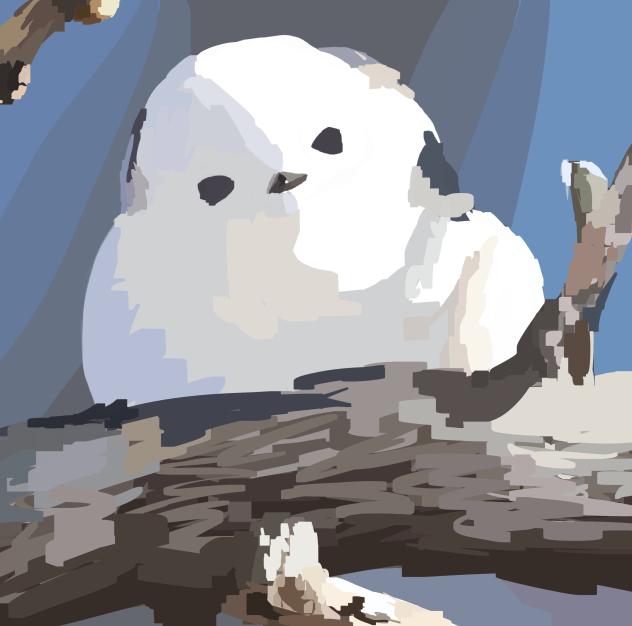 wip little snowball