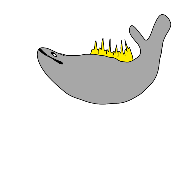 Whalezilla