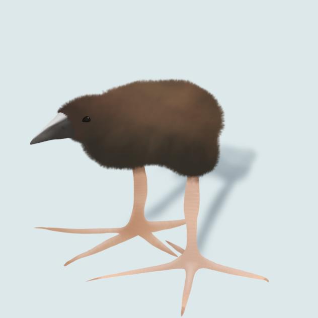 Baby Pukeko bird