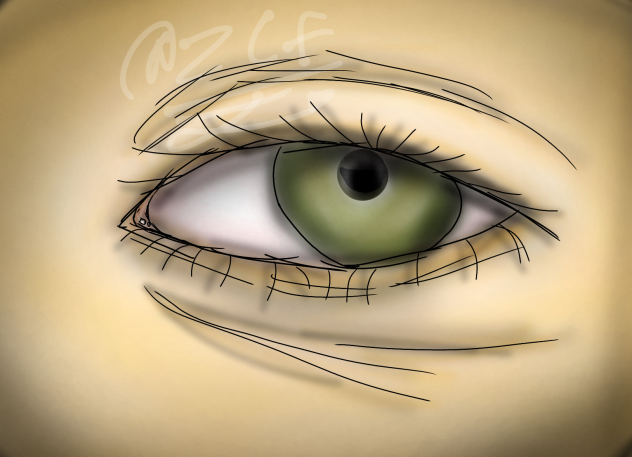 Eye