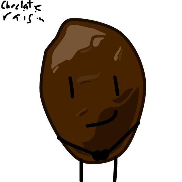 Chocolate raisin