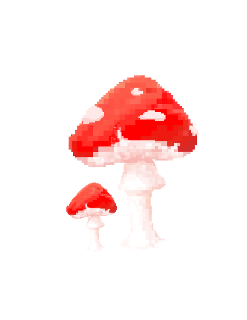 red mushroom