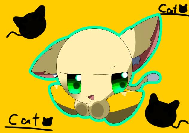 猫！🐈