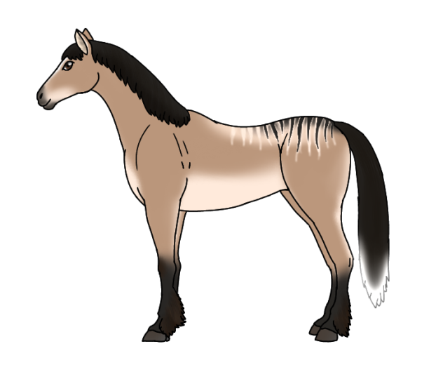 Prairie Horse revamped