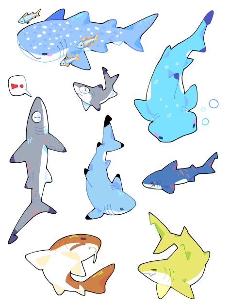 Randm shark sticker ideas