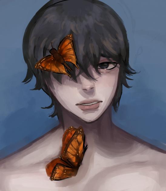 “Butterflies”