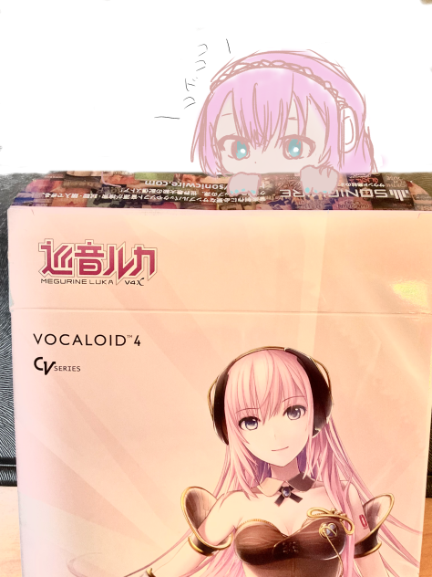 我が家にルカさんが来ました