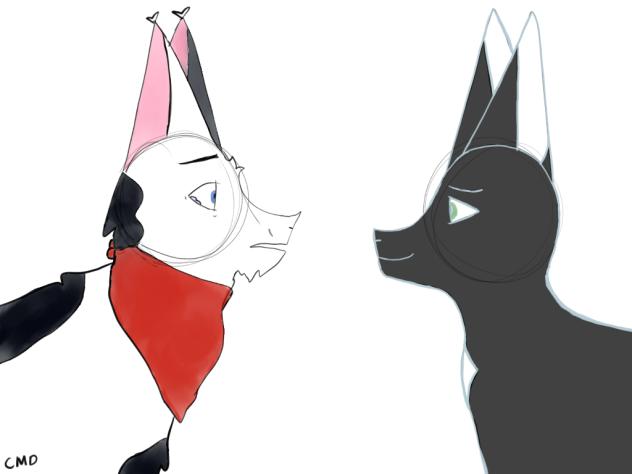 Barley and Ravenpaw’s Spirit