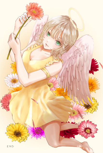 ガーベラ