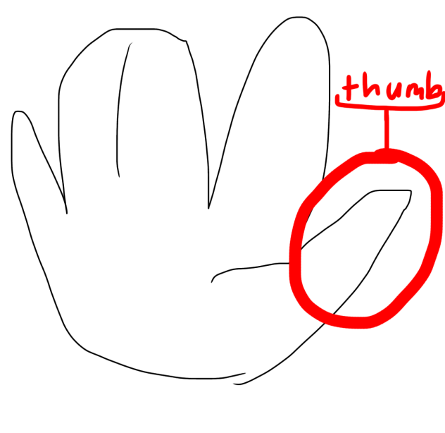 What I use for drawing
