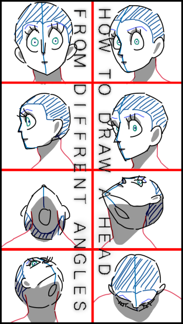 the head from different angles - ibisPaint