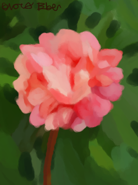 A Flower