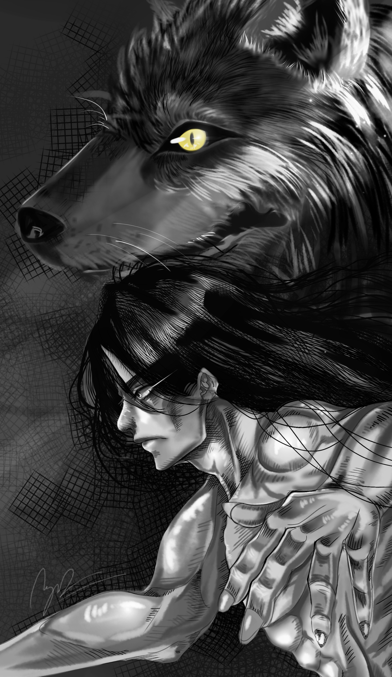 A wolf - ibisPaint