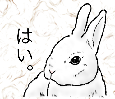 シリアスうさぎ