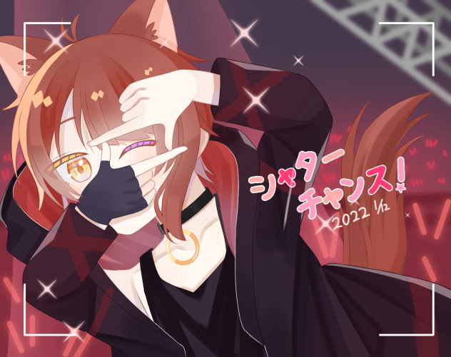 シャッターチャンス