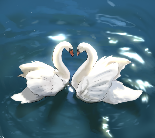 ~ 🦢 ~