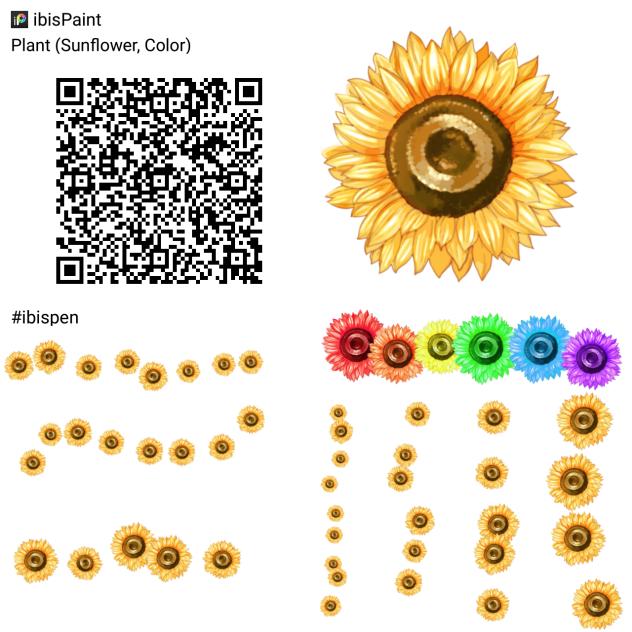 Sunflower Plant (Color)