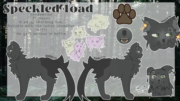 Speckled’toad reference sheet
