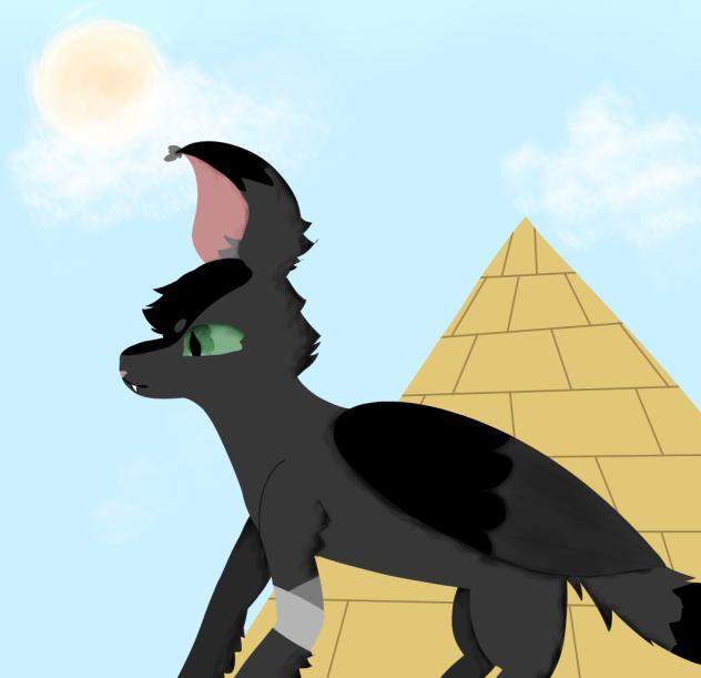 Winged cat OC [warriors + wings of fire]