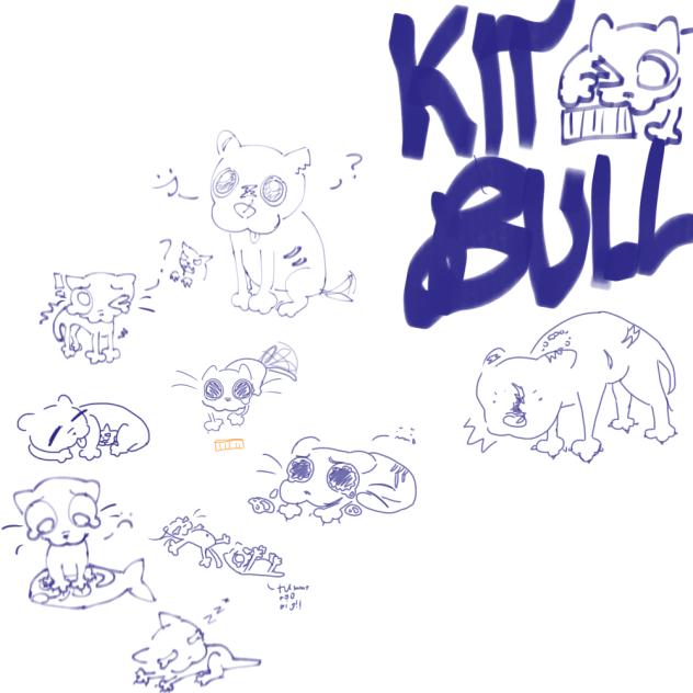 Kitbull eheh