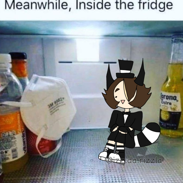 inside the fridge