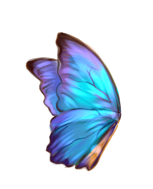 Iridescent blue butterfly 🦋