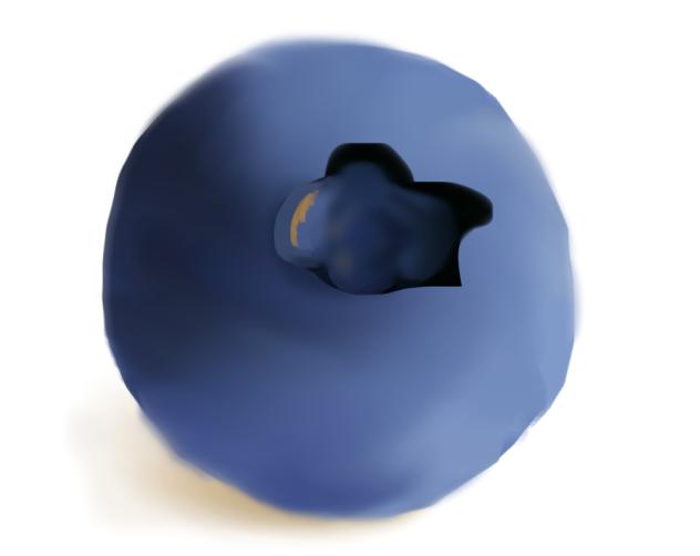 i found bluey