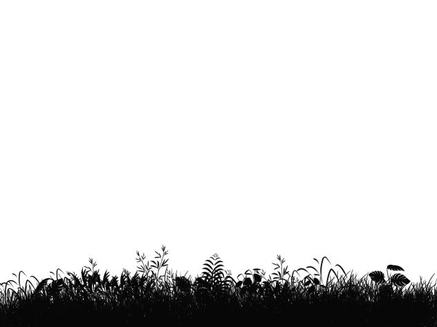 IBM4609 Forest grass Silhouette 01