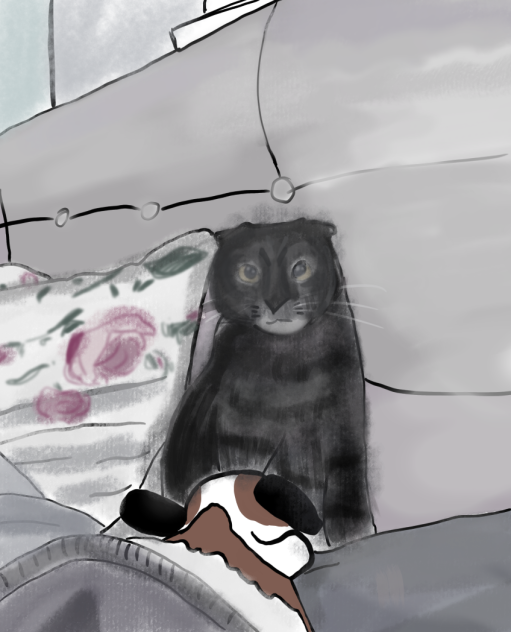 미안하다 라떼야