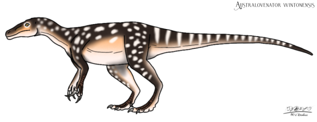 Australovenator wintonensis