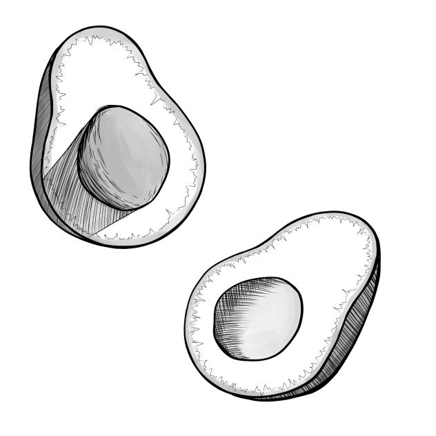 avocado🥑