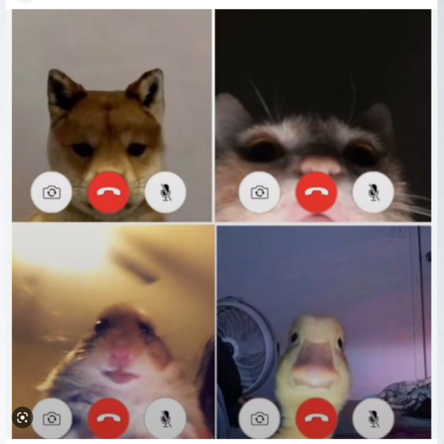 matching pfp