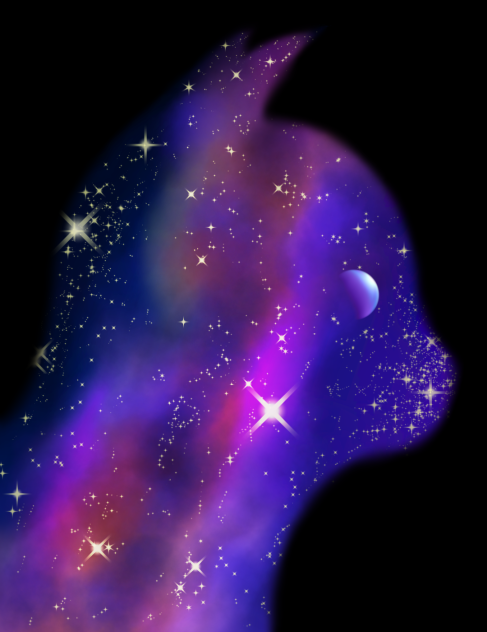 Space & Cat - ibisPaint