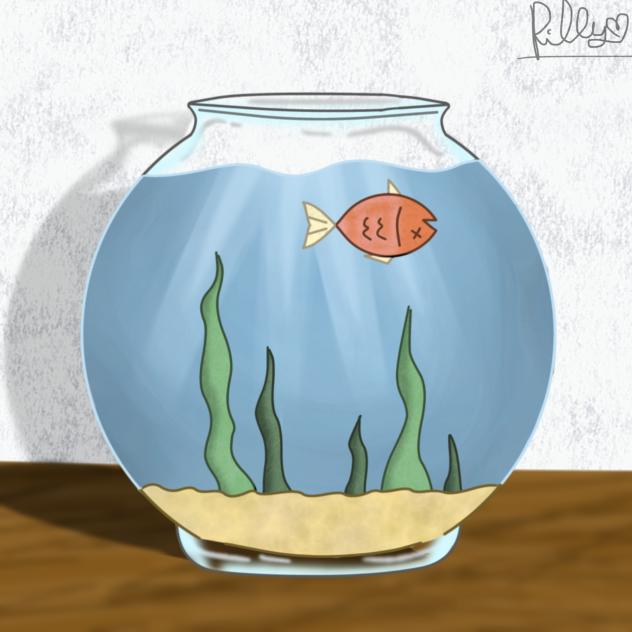 TW dead fish