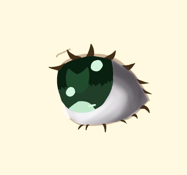 Eye study again