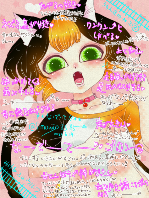 三毛猫女子のあれこれっ🐱❤️