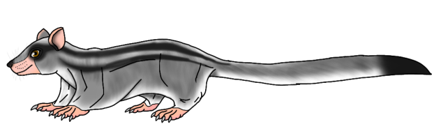 Striped Ratglider render