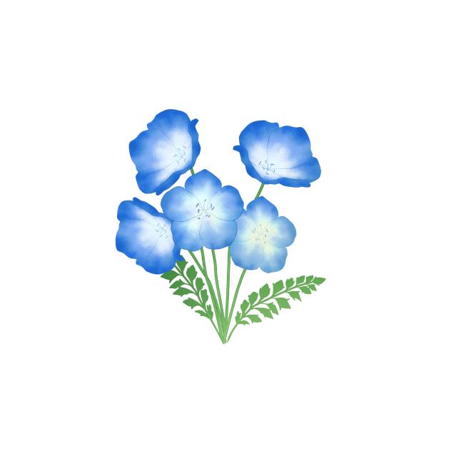 Nemophila