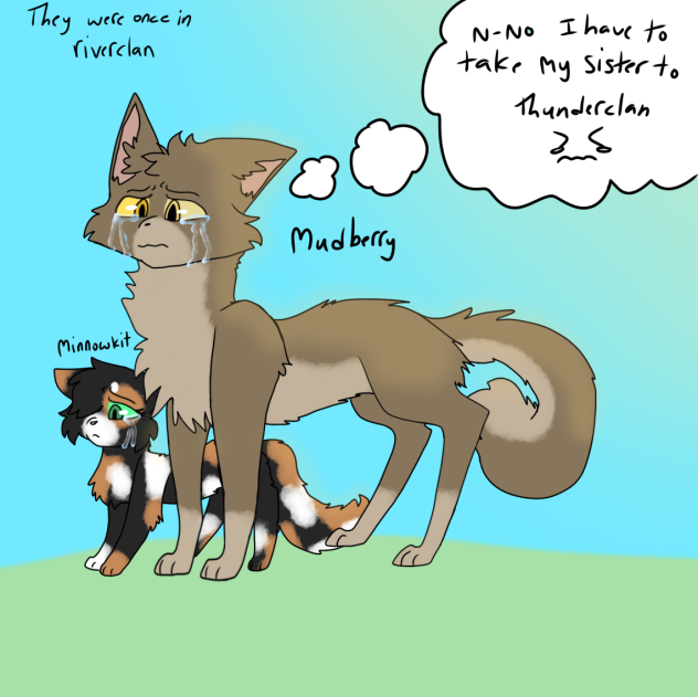 Mudberry, Minnowkit going to Thunderclan