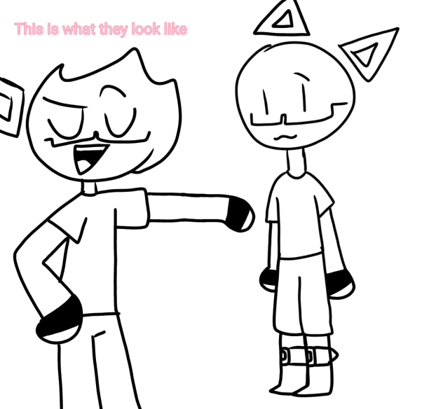 what my fans look like
