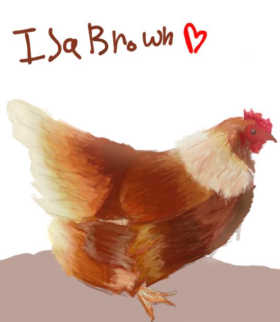 Isa brown - ibisPaint