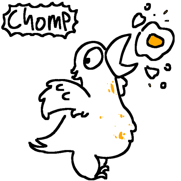 Chicken eating sunny side up egg