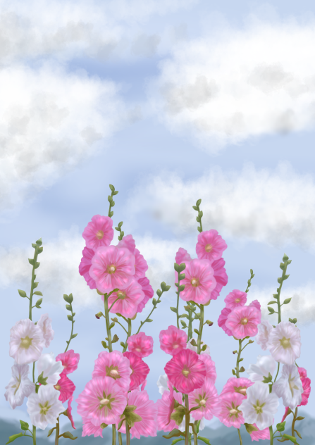 タチアオイが咲く風景