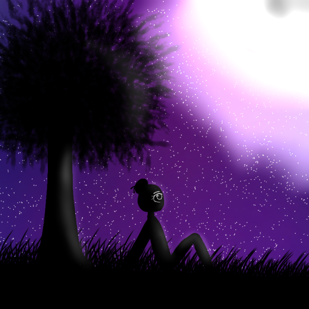 the night sky